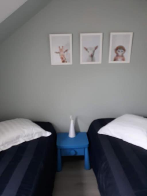 Les Cottages Du Golf A Ploemel ภายนอก รูปภาพ